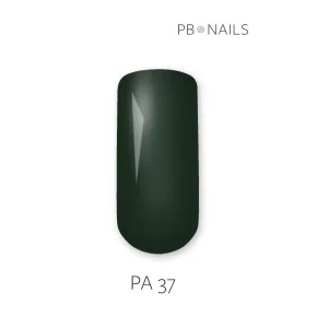 Painting Gel PA37