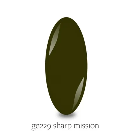 PB Nails Gellaxy GE229 sharp mission 10ml