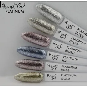 Paint Gel UV/LED 5ml - PLATINUM SILVER