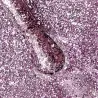 PB Nails VANITY 528 Lakier hybrydowy 8ml